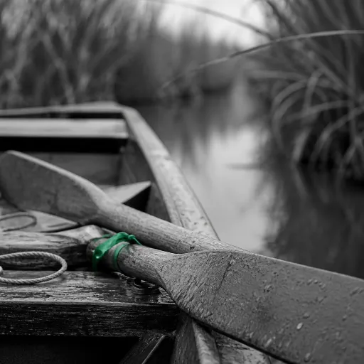 Le Marais poitevin en barque : ce que le batelier raconte quand la Venise verte se referme sur les pagaies