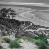 La plage du Veillon, écrin atlantique préservé en Vendée